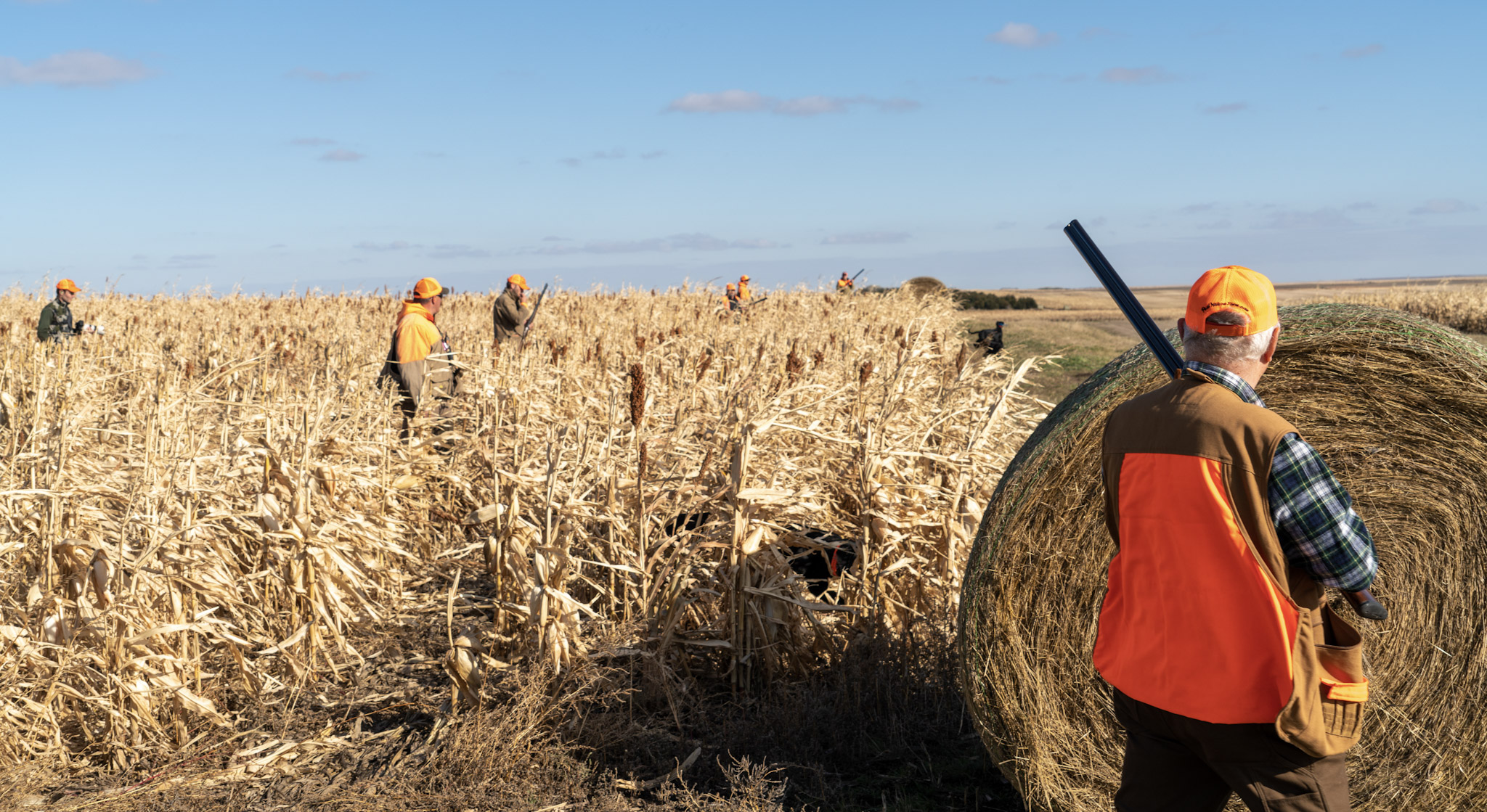 Hunting in the Fields at PNF