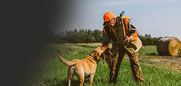 Pheasant Hunting